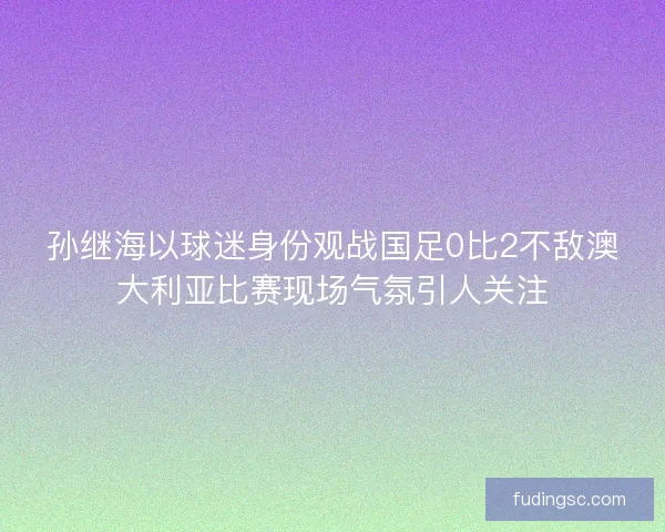 孙继海以球迷身份观战国足0比2不敌澳大利亚比赛现场气氛引人关注