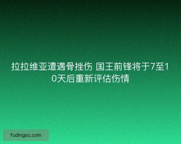 拉拉维亚遭遇骨挫伤 国王前锋将于7至10天后重新评估伤情