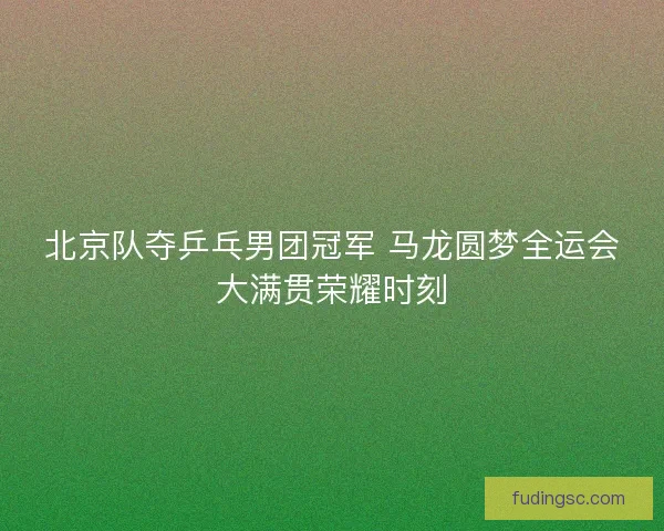 北京队夺乒乓男团冠军 马龙圆梦全运会大满贯荣耀时刻