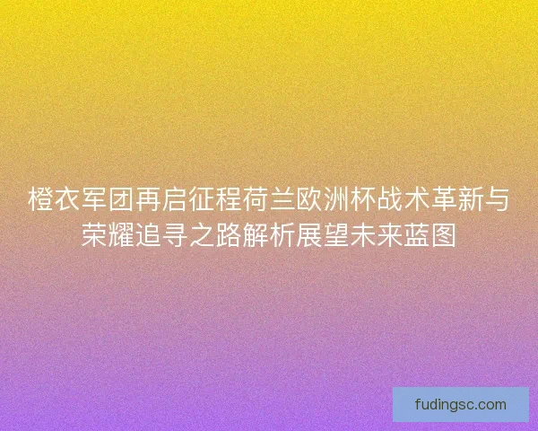 橙衣军团再启征程荷兰欧洲杯战术革新与荣耀追寻之路解析展望未来蓝图