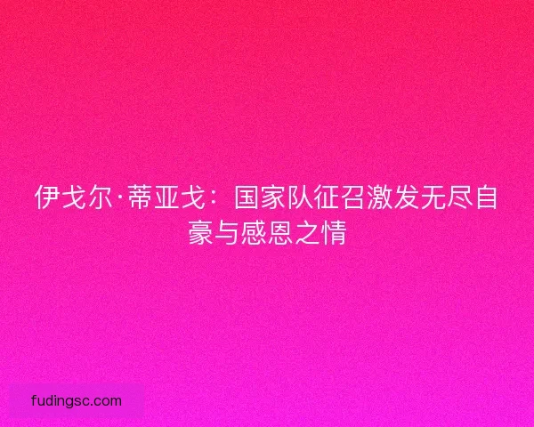 伊戈尔·蒂亚戈：国家队征召激发无尽自豪与感恩之情